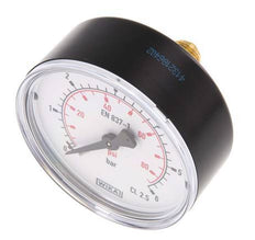 0..6 Bar (0..87 psi) Pressure Gauge Rear Plastic/Brass 63 mm Class 2.5