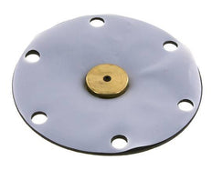 Diafragma de recambio PTFE/NBR 1''