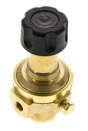 Regulador de presión G1/4'' 490l/min 0.5-8.0bar/7-116psi Latón Gases Líquidos