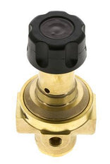 Regulador de presión G1/4'' 490l/min 0.5-8.0bar/7-116psi Latón Gases Líquidos