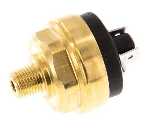 0.interruptor de presión de 2 a 2bar NO de latón Conector plano M10 42VAC/DC
