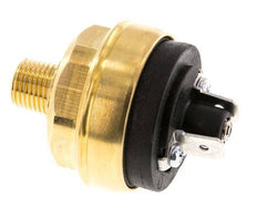 0.interruptor de presión de 2 a 2bar NO de latón Conector plano M10 42VAC/DC