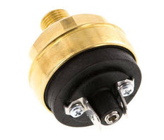 0.interruptor de presión de 2 a 2bar NO de latón Conector plano M10 42VAC/DC