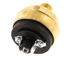 0.interruptor de presión de 2 a 2bar NO de latón Conector plano M10 42VAC/DC