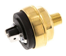 0.interruptor de presión de 2 a 2bar NO de latón Conector plano M10 42VAC/DC
