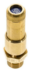 G Válvula de seguridad preajustada de latón de 1/2'' 0,35 bar (5,08 psi) DN 10