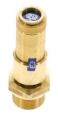 G Válvula de seguridad preajustada de latón de 3/4'' 0,4 bar (5,8 psi) DN 10