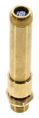 G Válvula de seguridad preajustada de latón de 1/2'' 44 bar (638.18 psi) DN 10