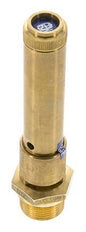 G Válvula de seguridad preajustada de latón de 3/4'' 50 bar (725,2 psi) DN 10