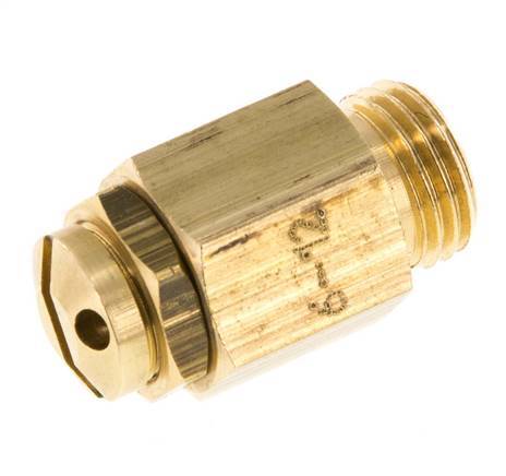 G Válvula de seguridad ajustable de 1/4'' de latón 6-12 bar (87,02-174,05 psi)