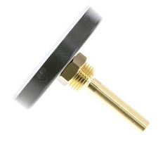 0 to +60°C Plastic Bimetallic Thermometer 80mm Cabinet 60mm Stem with Thermowell