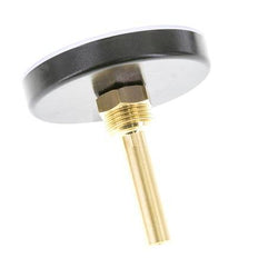 0 to +60°C Plastic Bimetallic Thermometer 80mm Cabinet 60mm Stem with Thermowell