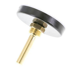 0 to +60°C Plastic Bimetallic Thermometer 80mm Cabinet 60mm Stem with Thermowell