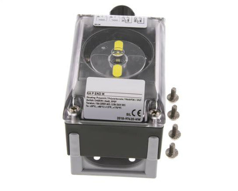 Caja de Finales de Carrera Standard DPDT Micro Switch 250VAC/10A - 12-250VDC/2.5A