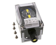 Caja de Finales de Carrera Standard DPDT Micro Switch 250VAC/10A - 12-250VDC/2.5A