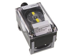 Caja de Finales de Carrera Standard 2xNO Interruptor Inductivo PNP 10-30VDC/100mA