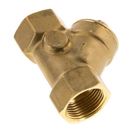 Rp 1'' Latón Válvula De Retención Tipo Y 10 Bar (145 Psi) NBR