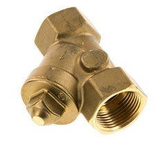 Rp 1'' Latón Válvula De Retención Tipo Y 10 Bar (145 Psi) NBR