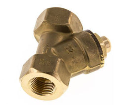 Rp 3/8'' Latón Válvula De Retención Tipo Y 10 Bar (145 Psi) FKM