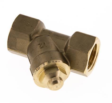 Rp 1/2'' Latón Válvula De Retención Tipo Y 10 Bar (145 Psi) FKM