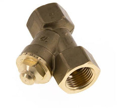 Rp 1/2'' Latón Válvula De Retención Tipo Y 10 Bar (145 Psi) FKM