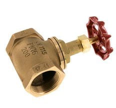 G 1-1/2'' Válvula de globo de bronce 16 bar